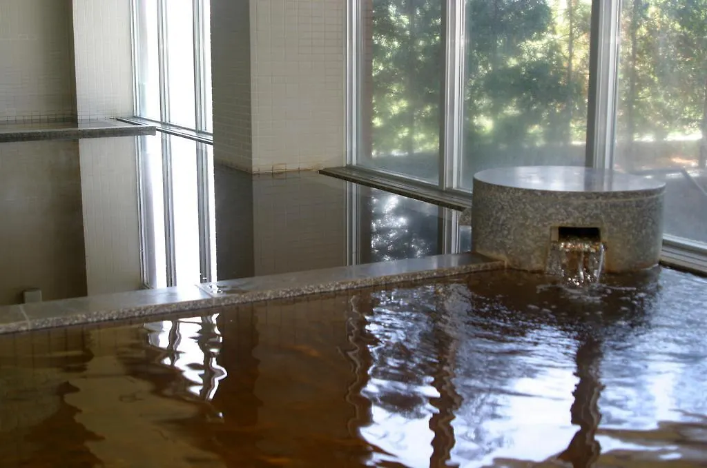 *** Ryokan Japanese Auberge Plaza Ryokufu Natural Hot Spring Shimoorube Japan